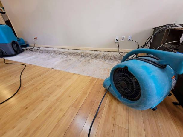 Professional Ceiling Water Damage Repair technician working in Beverly Hills, FL